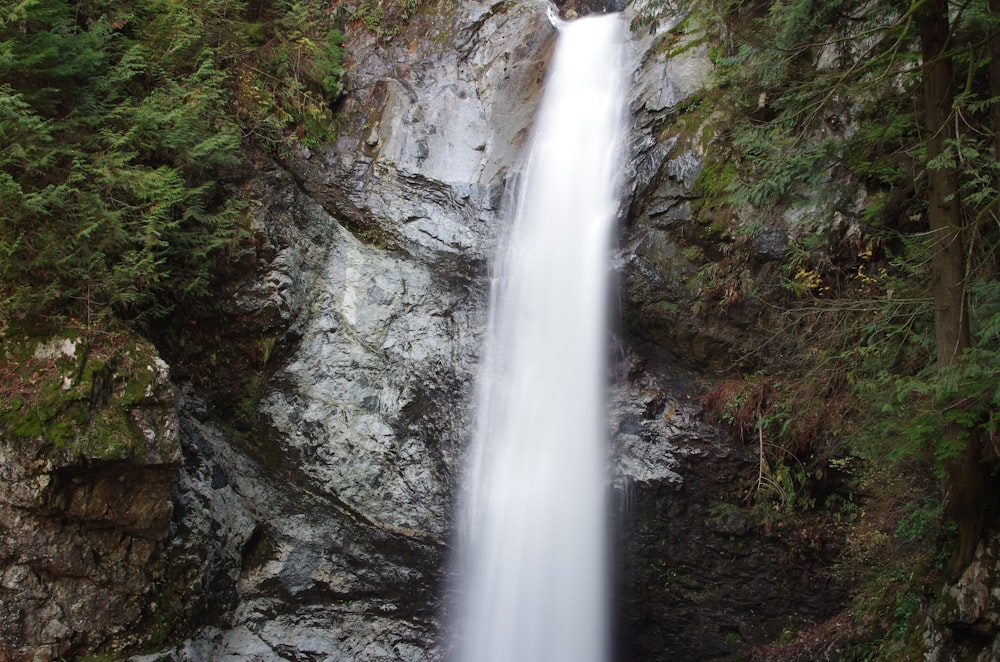 waterfalls surrounded by trees \