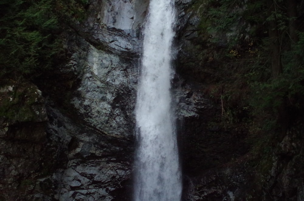 waterfalls surrounded of trees