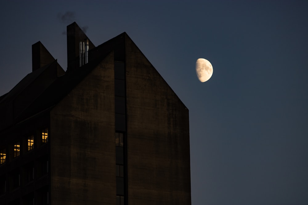 brown building at night