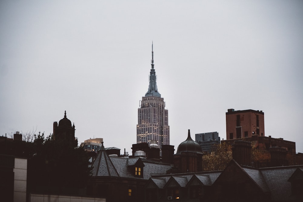 Empire State building in New York view
