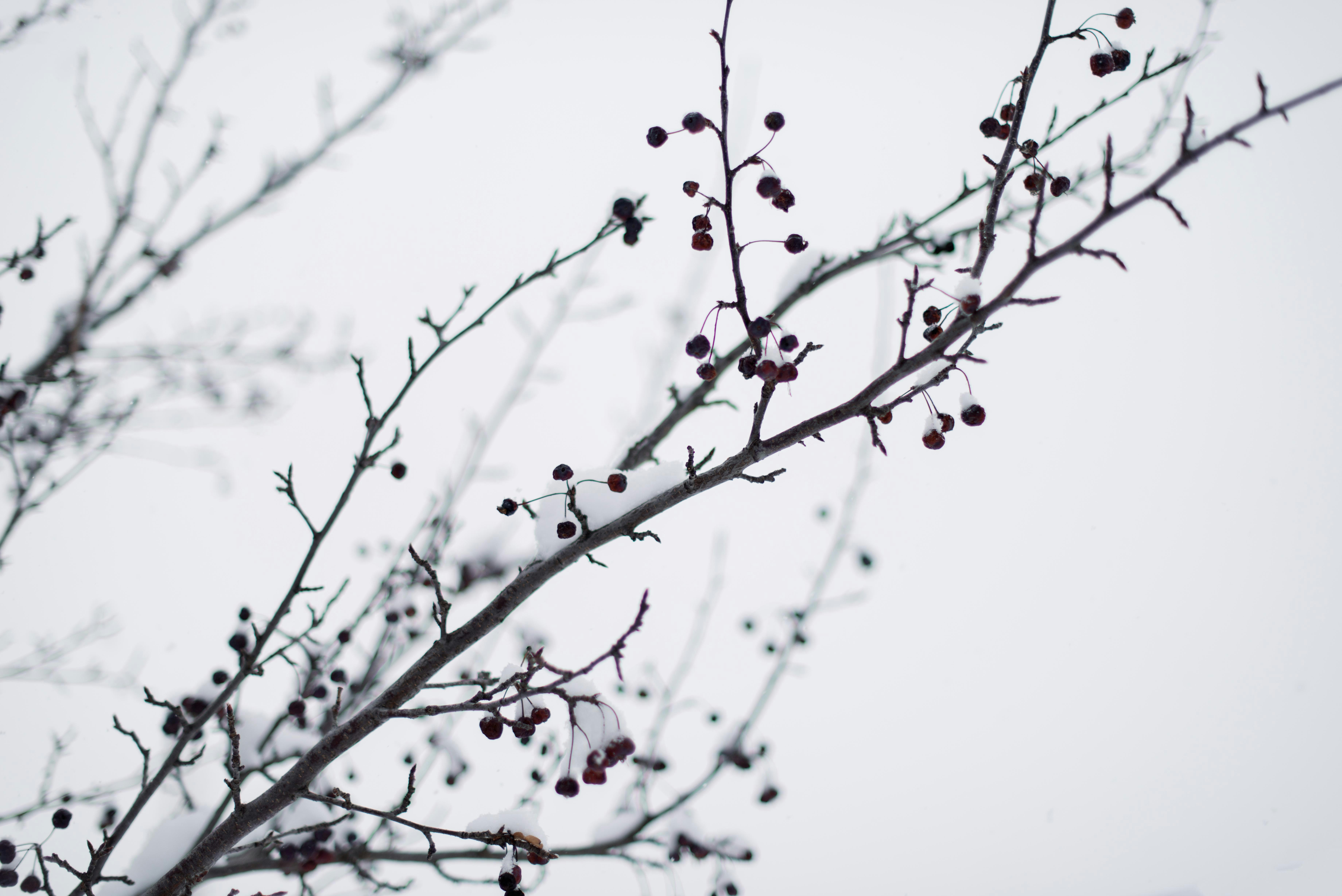 Photo by tarameinczinger