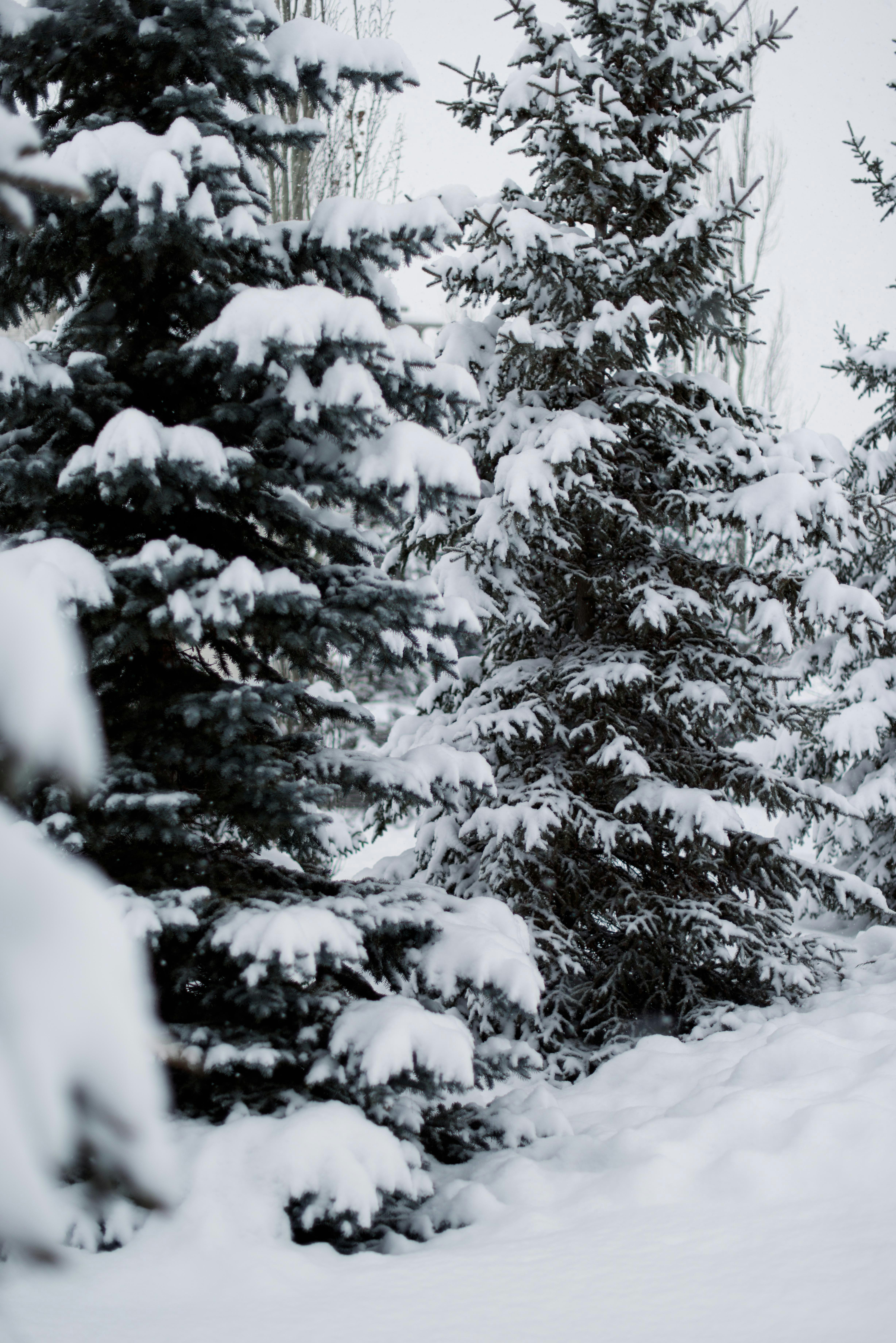 Photo by tarameinczinger