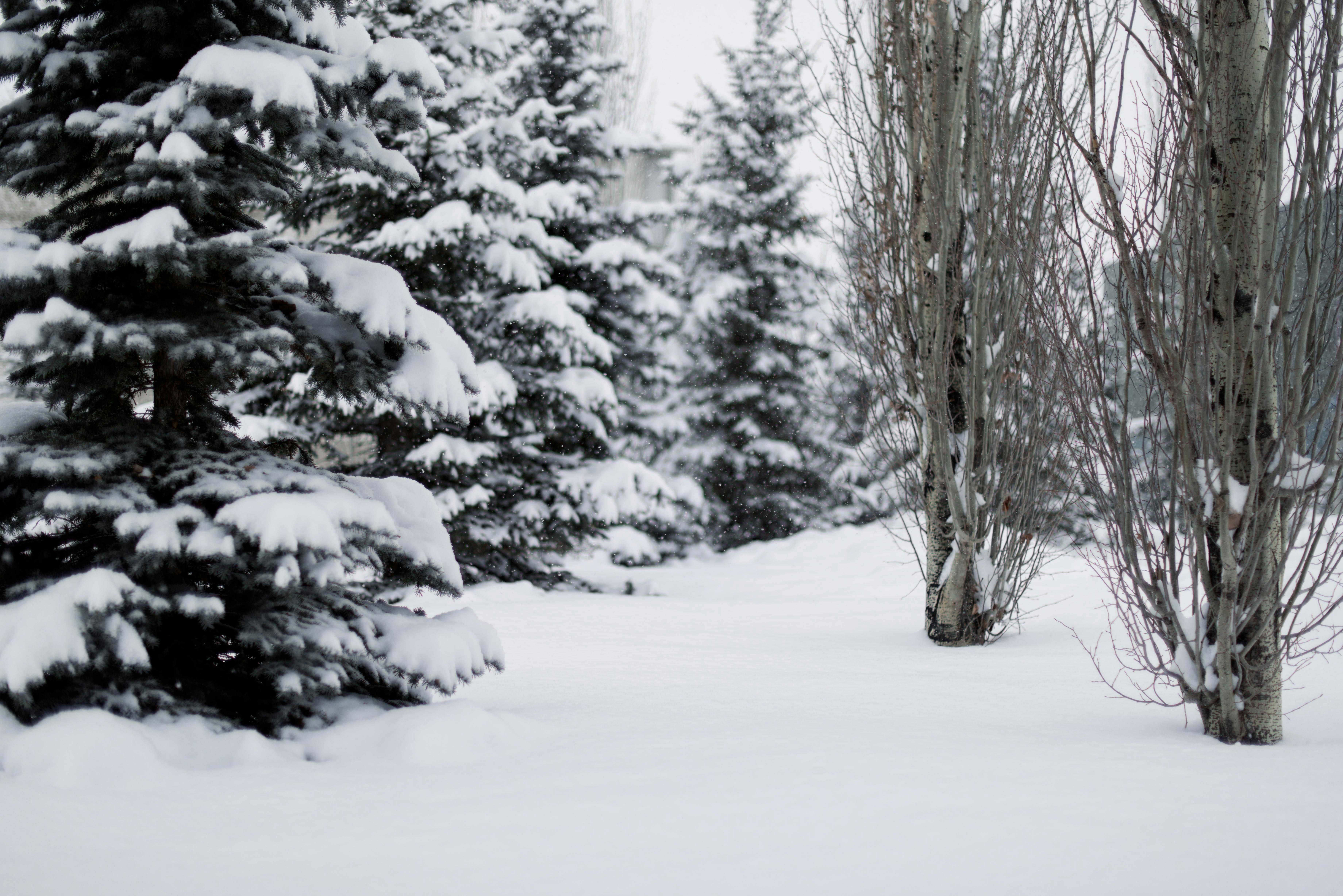 Photo by tarameinczinger