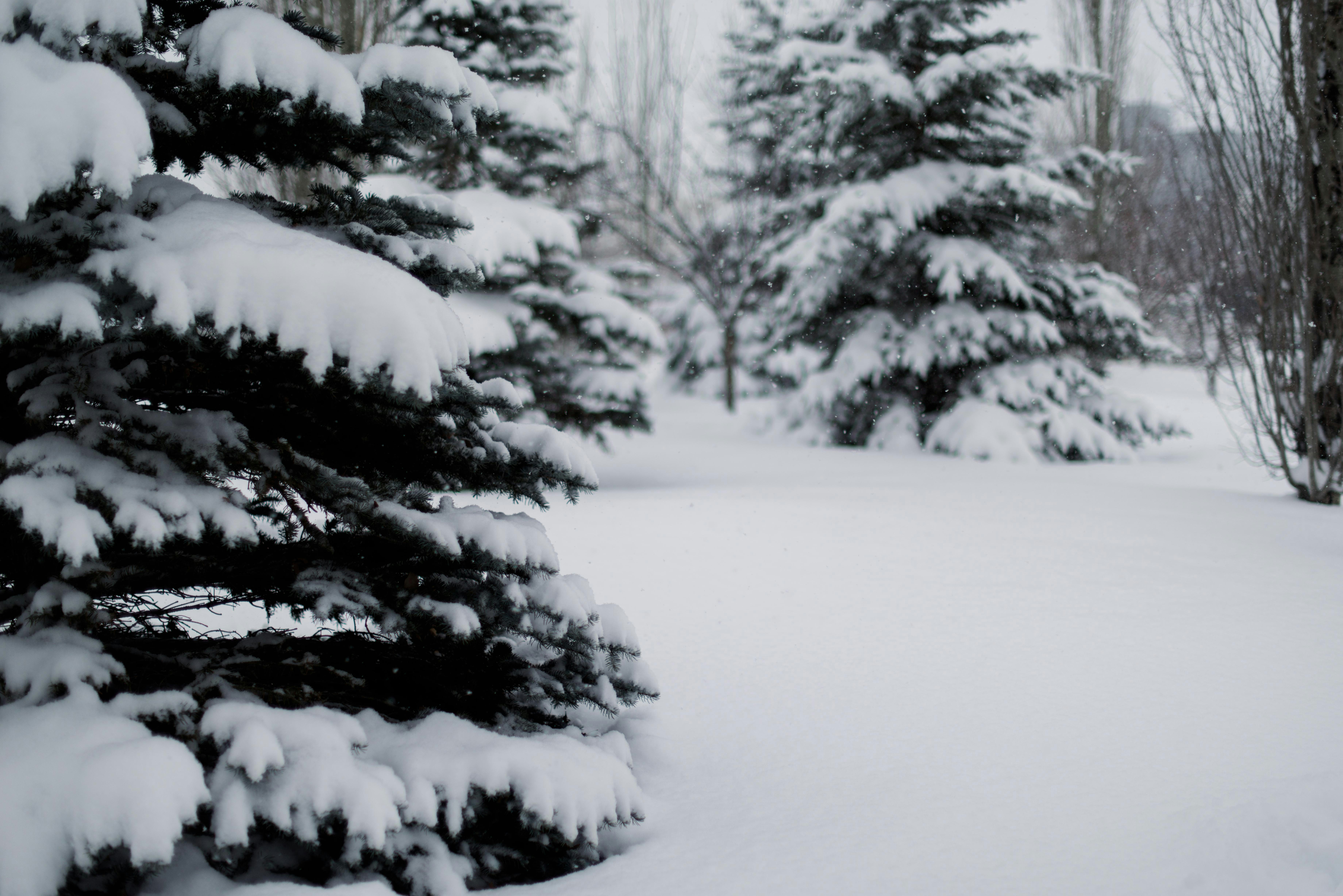 Photo by tarameinczinger