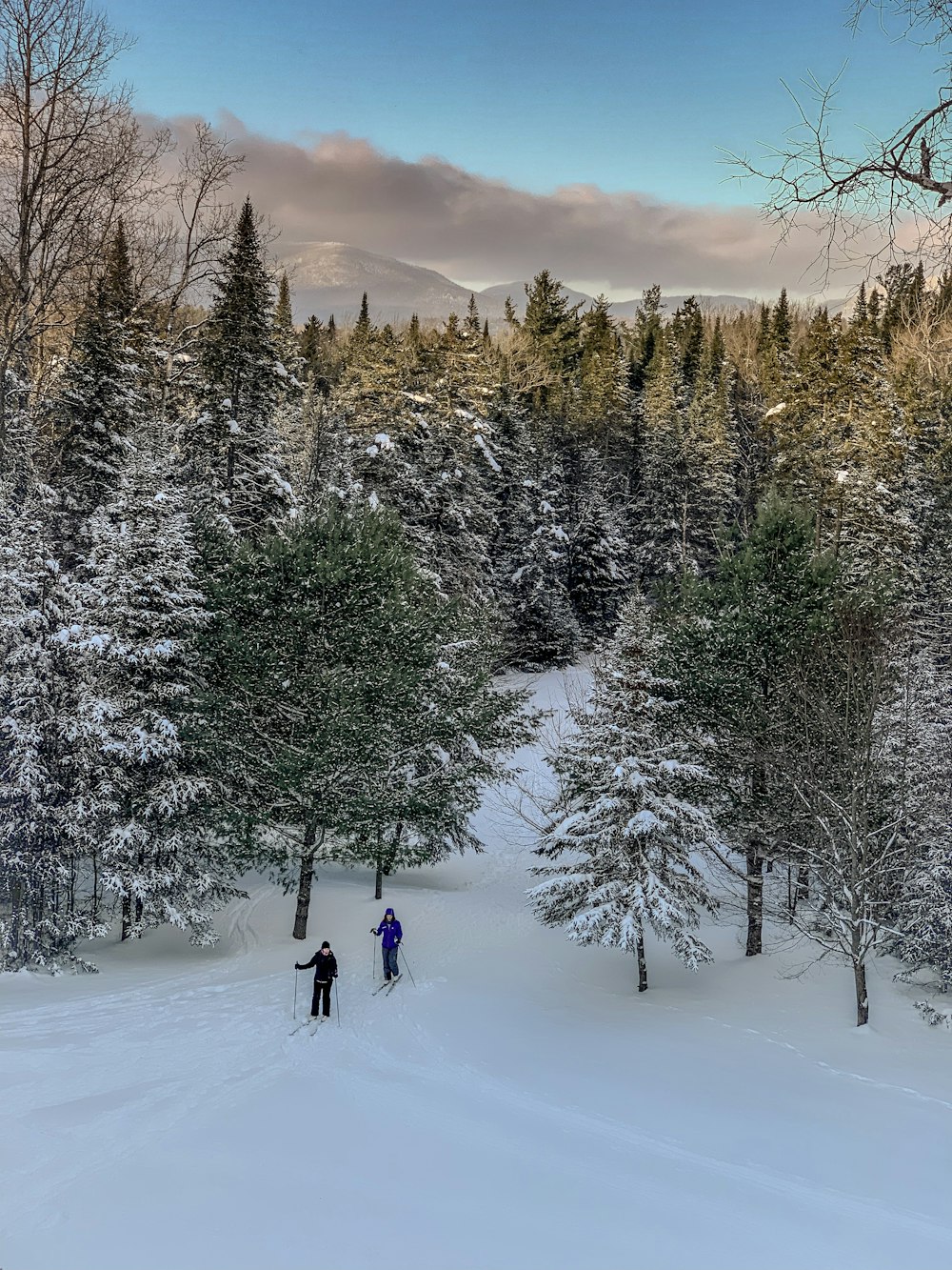 two people skiing during daytime