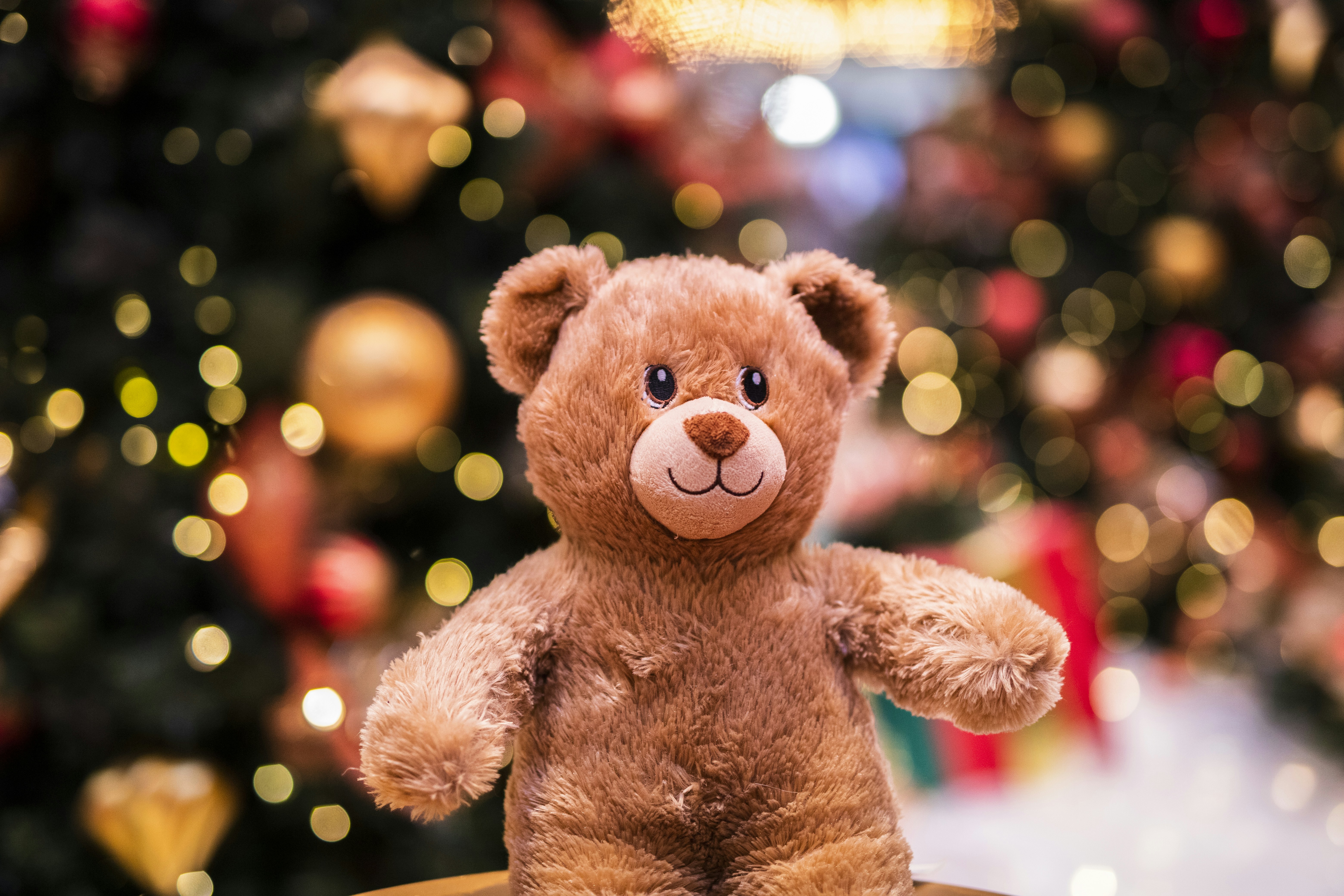 500+ Best Teddy Bear Pictures [HD 