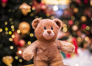 brown bear plush toy