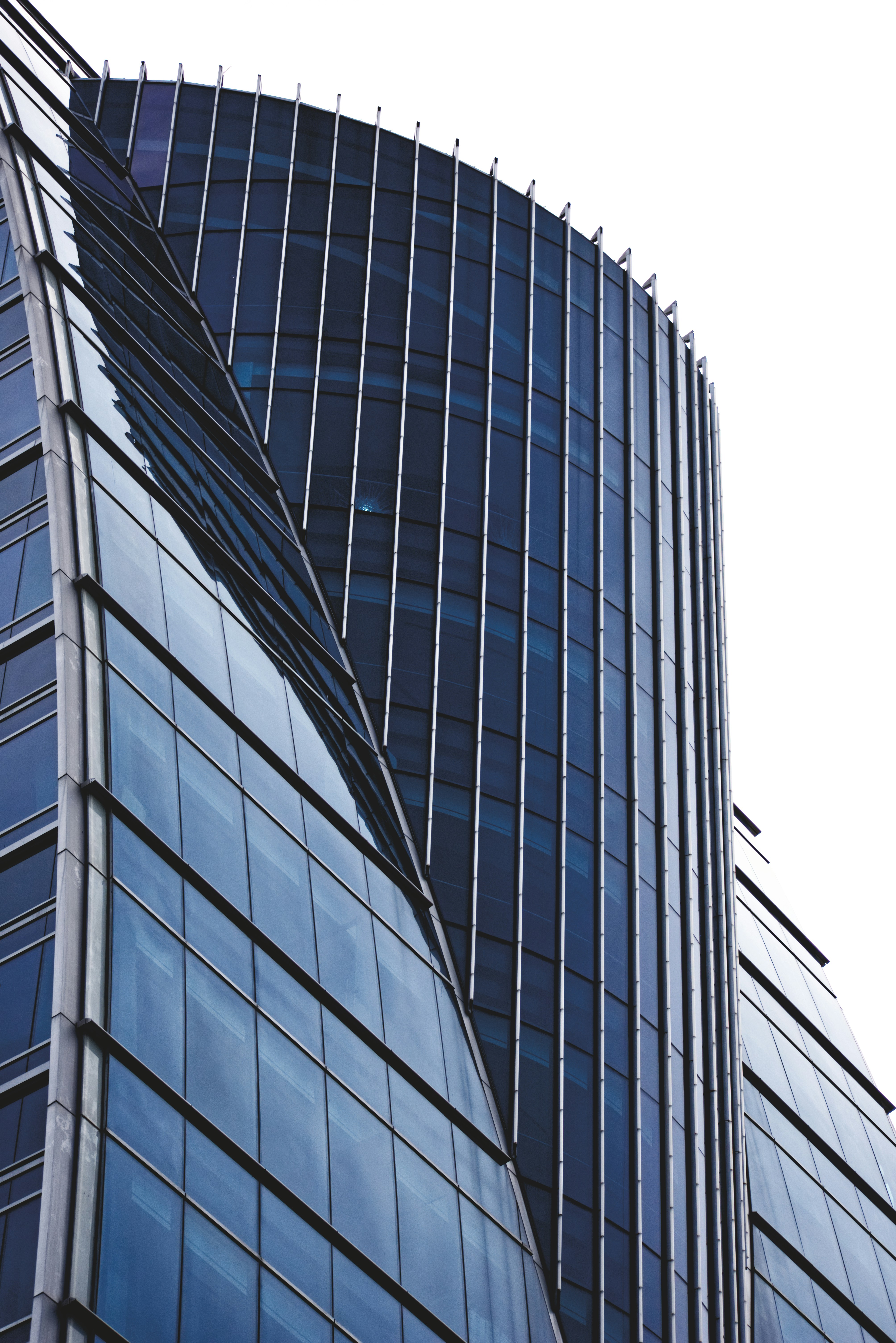 Photo by ldpeterson11