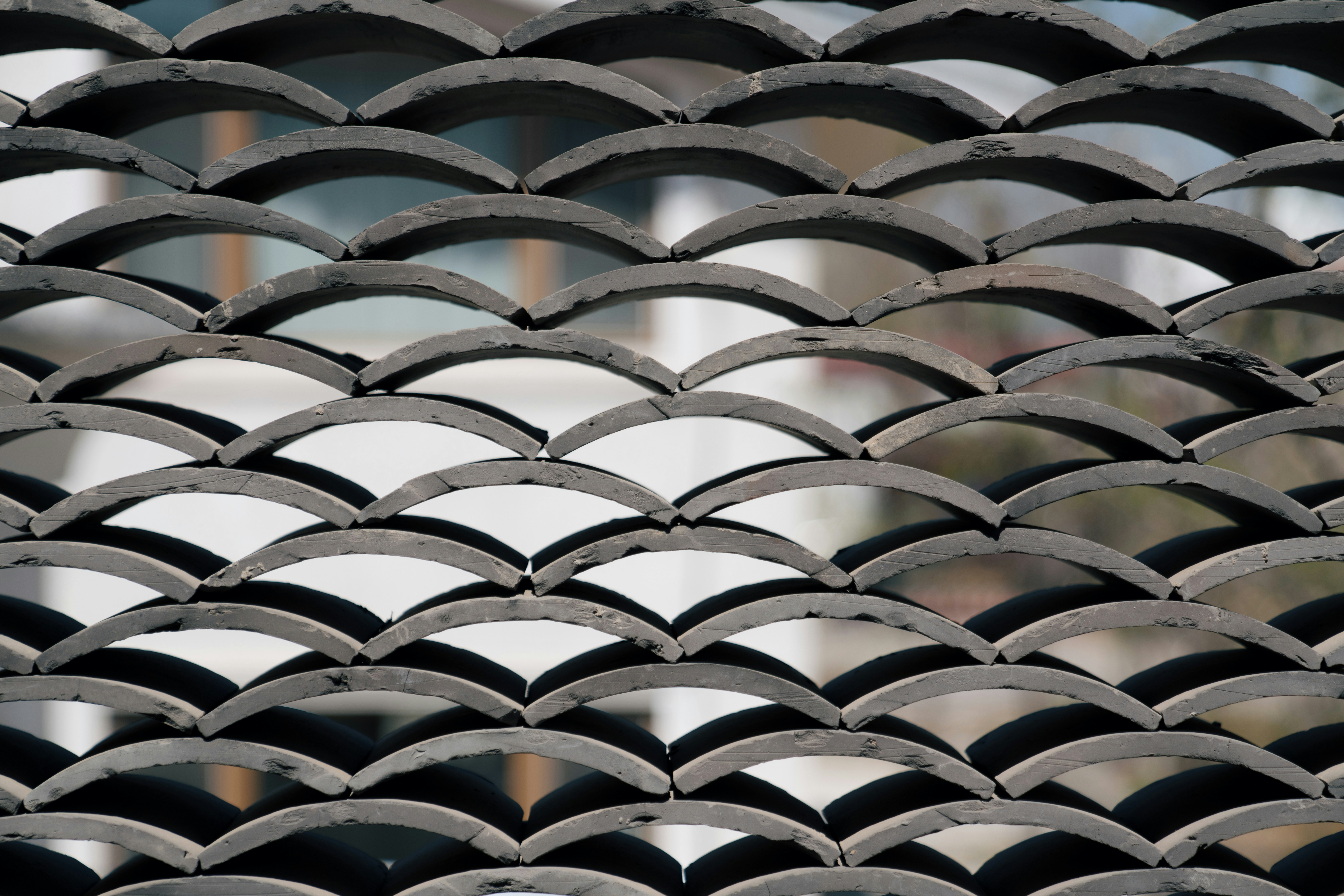 Photo by shirleyxugeng