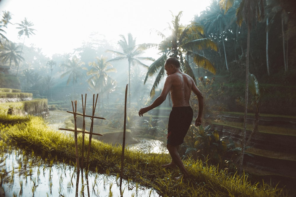 man walking on rice paddy