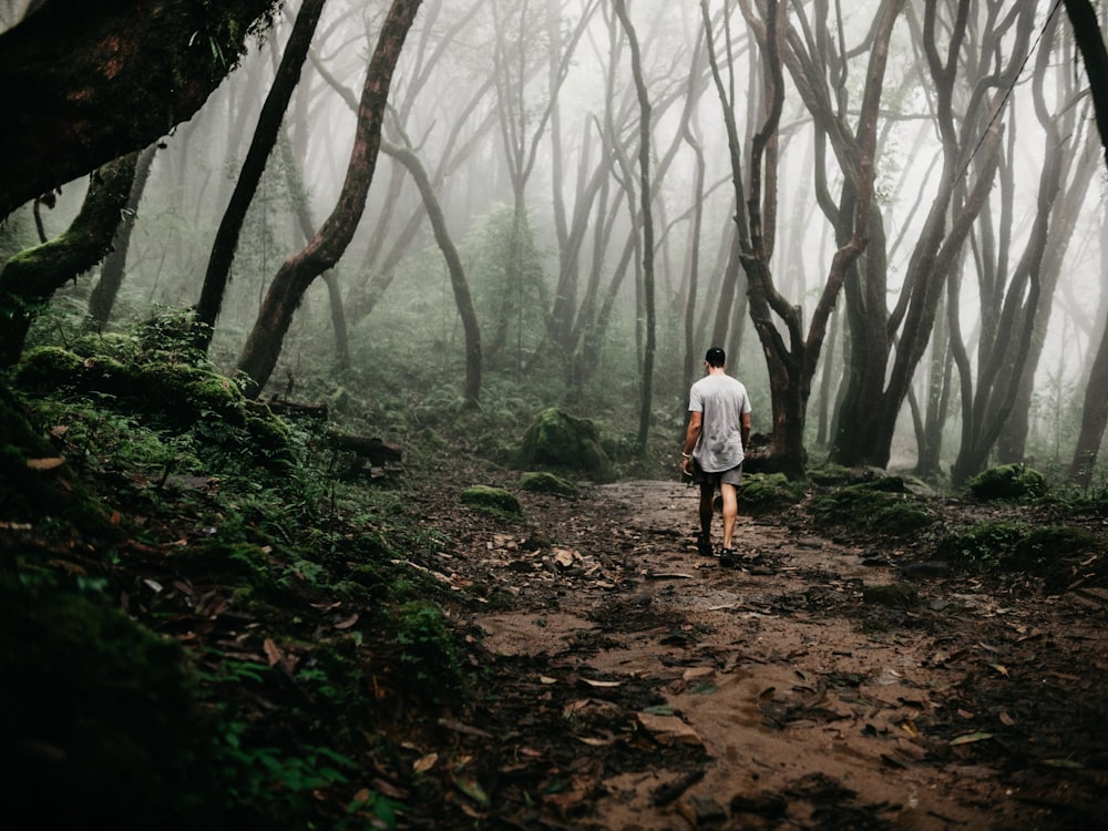 man walking on Forrest in mist