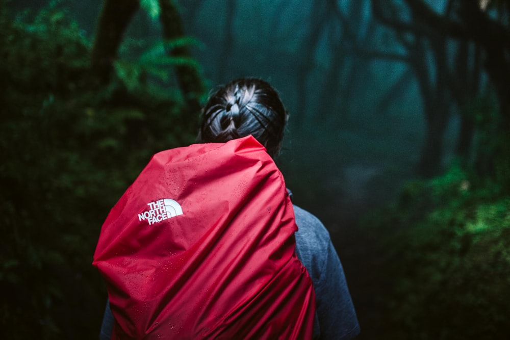 Person carrying red The North Face hiking backpack photo – Free Clothing  Image on Unsplash