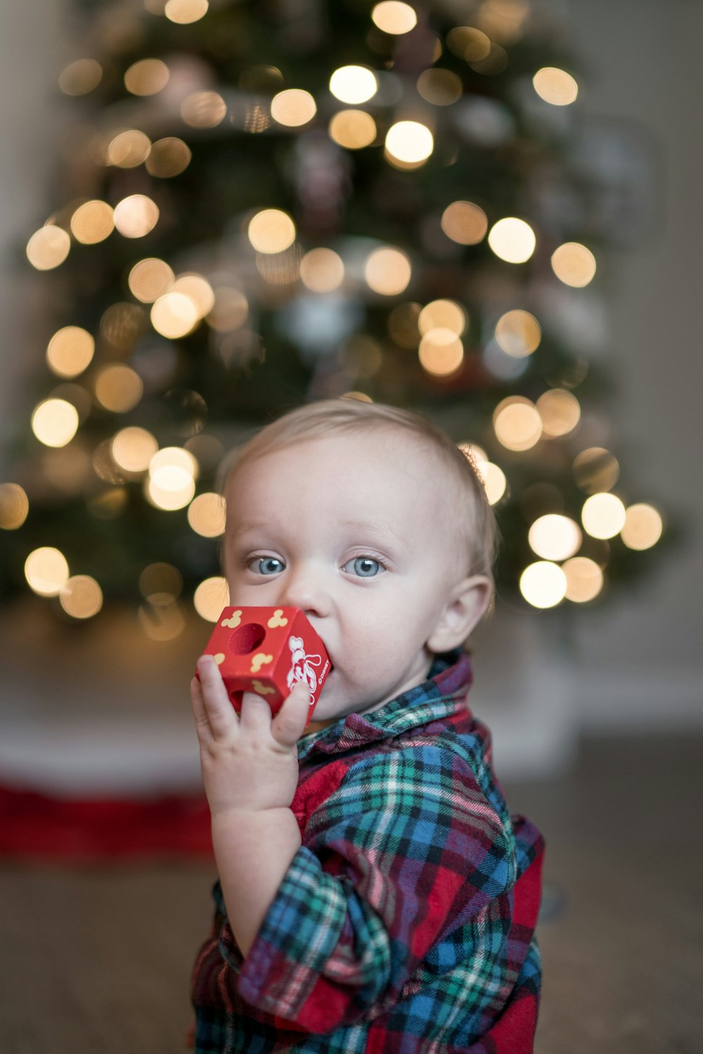 boy wearing plaid dress shirt