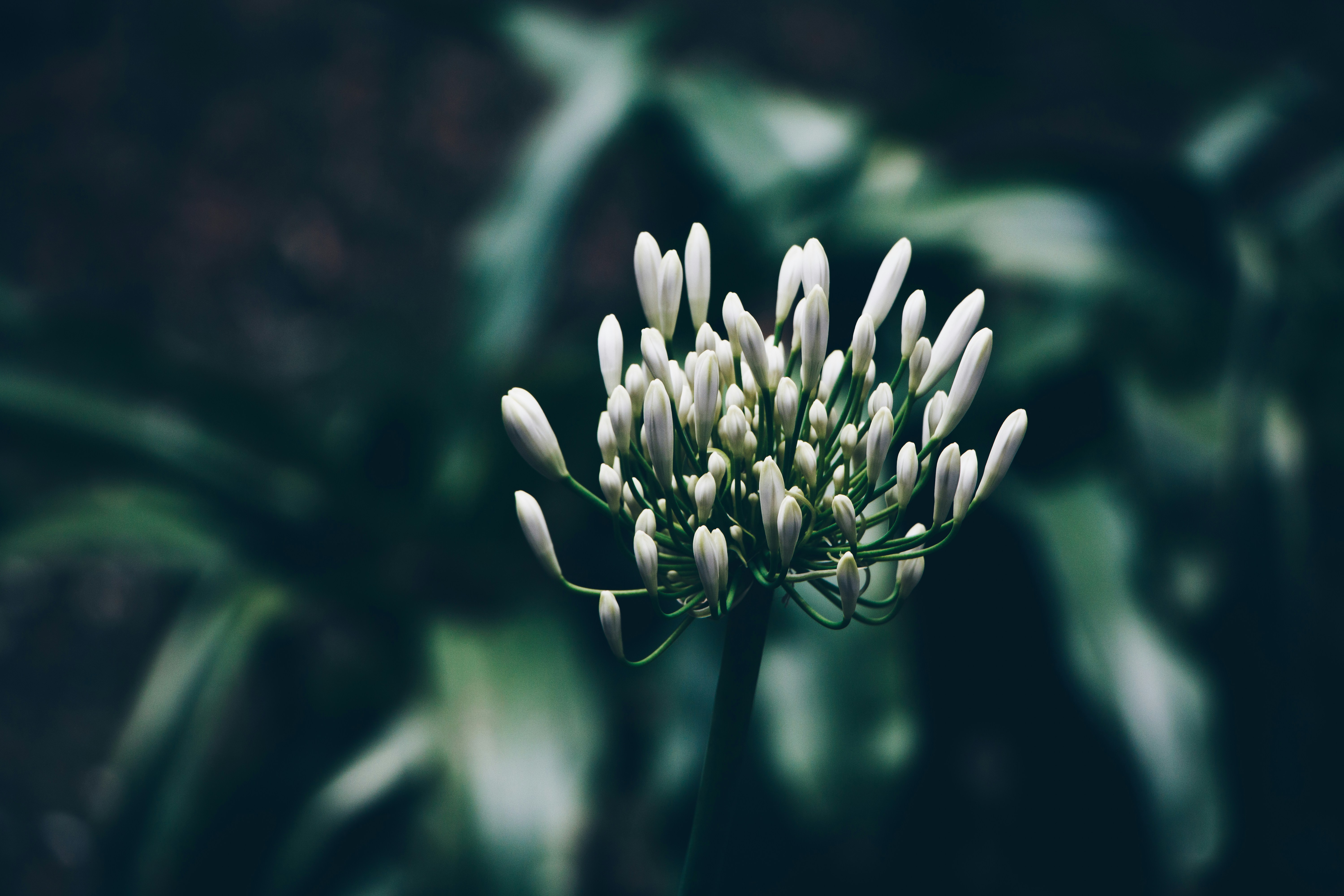 Photo by stationery_hoe