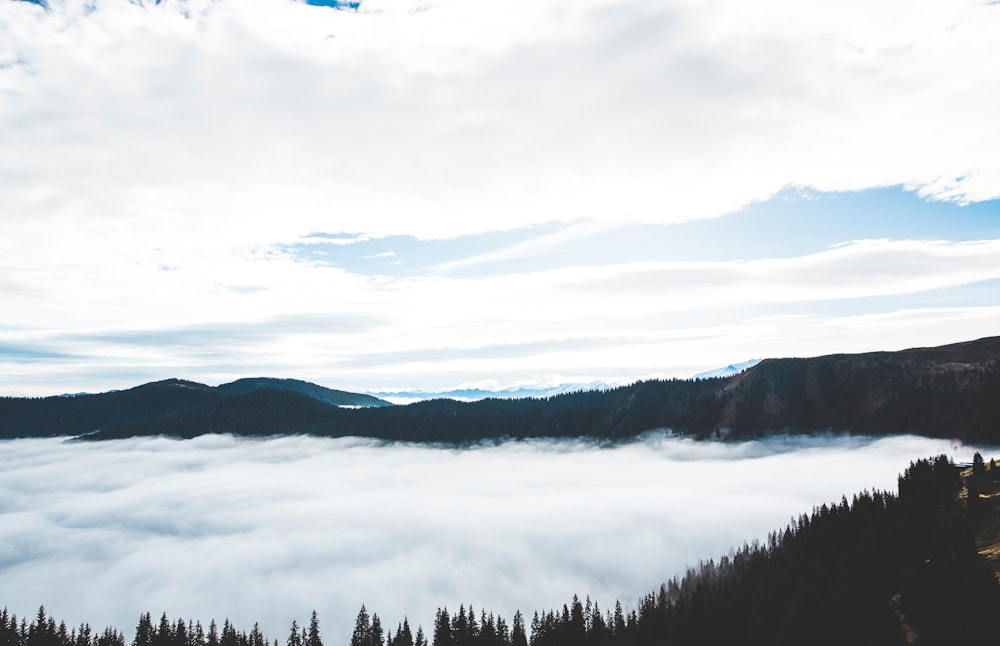 mer de nuages surplombant les montagnes pendant la journée