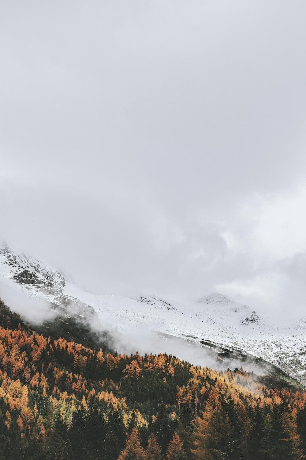 Blick aus der Vogelperspektive auf schneebedeckte Berge