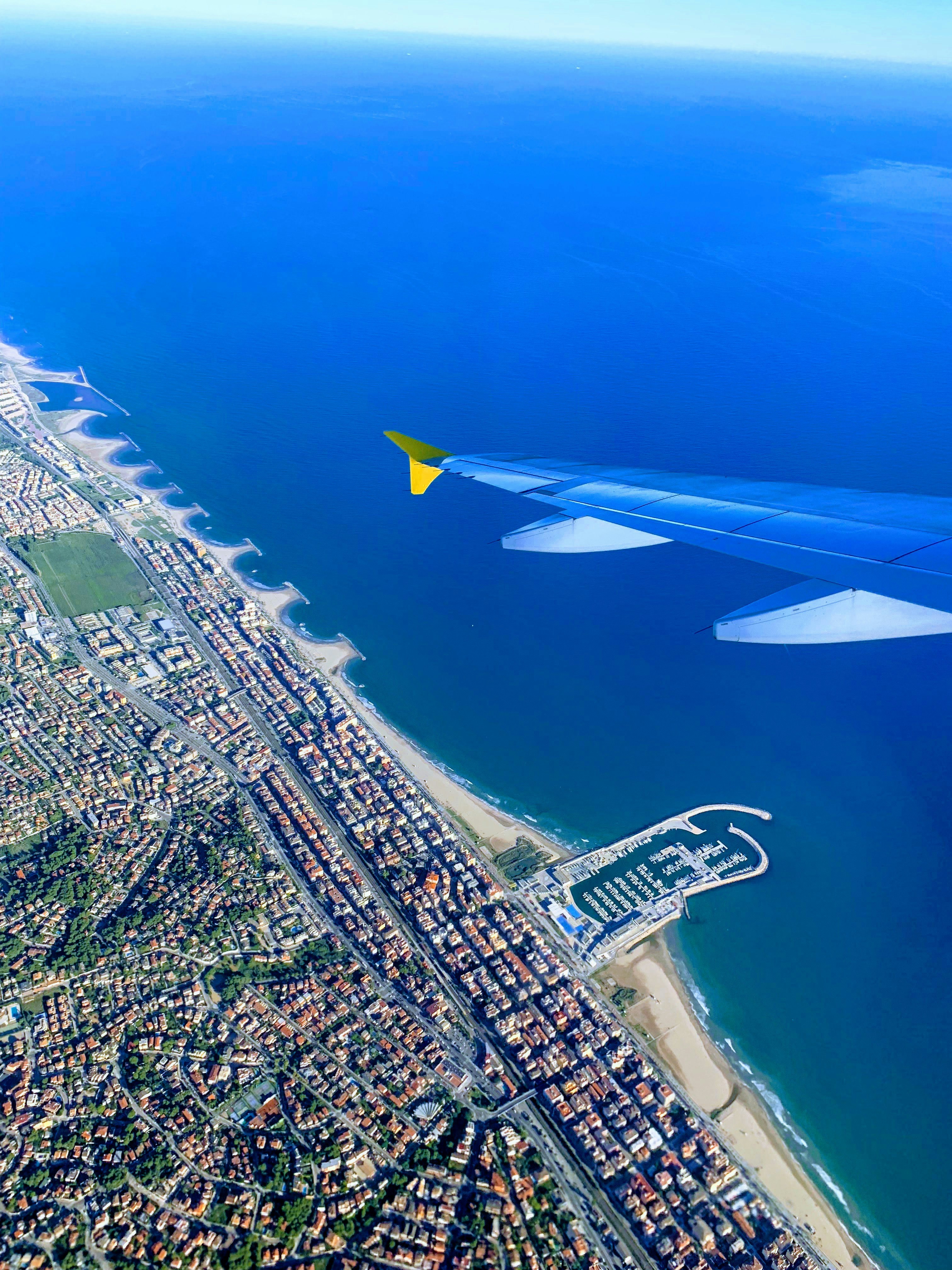 Alexandria's Legendary Food Scene