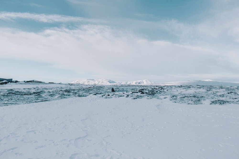 fotografia di paesaggio del campo di neve vicino allo specchio d'acqua