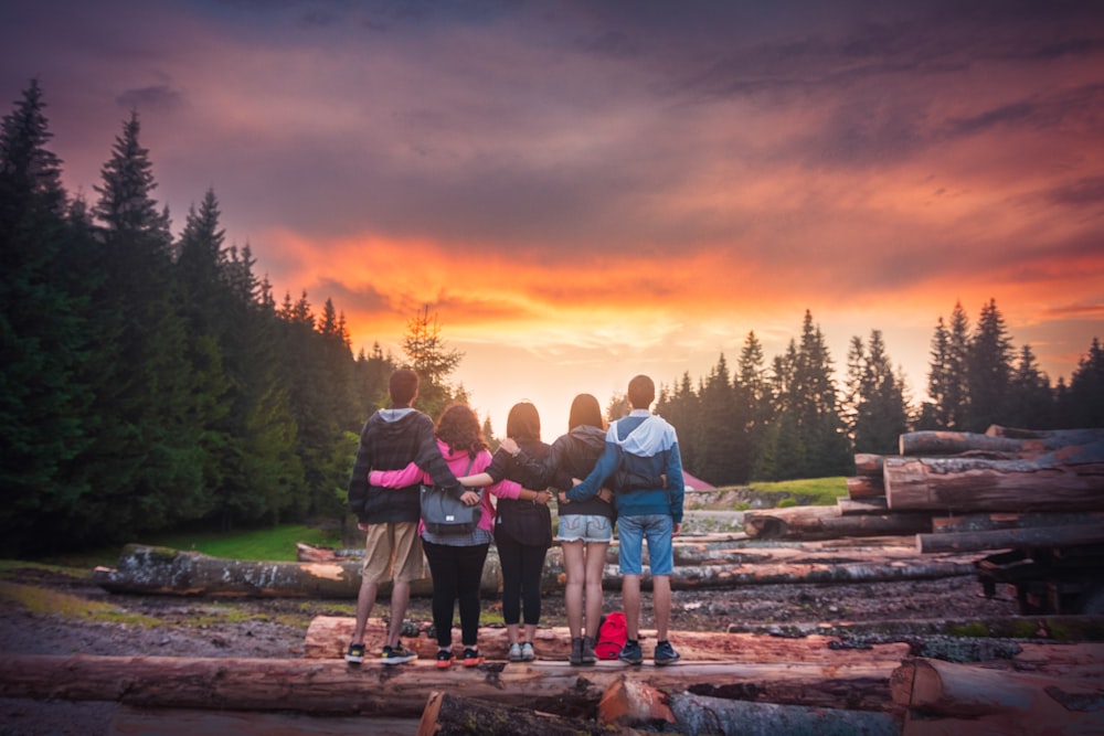 five person standing on wood logs looking at trees during golden hour