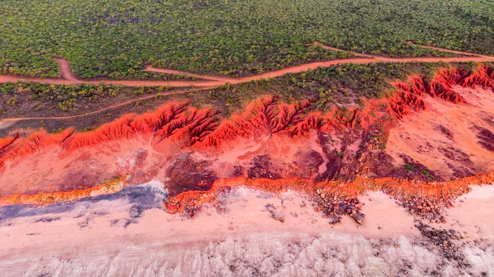 campo di erba verde in foto ad alto angolo