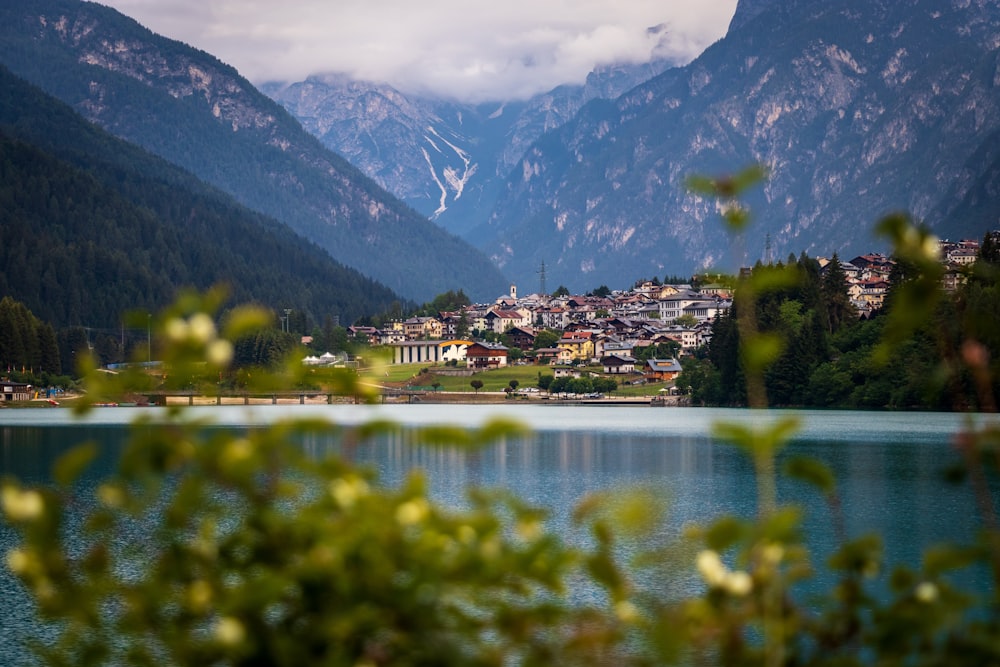 houses and calm body of water during daytime