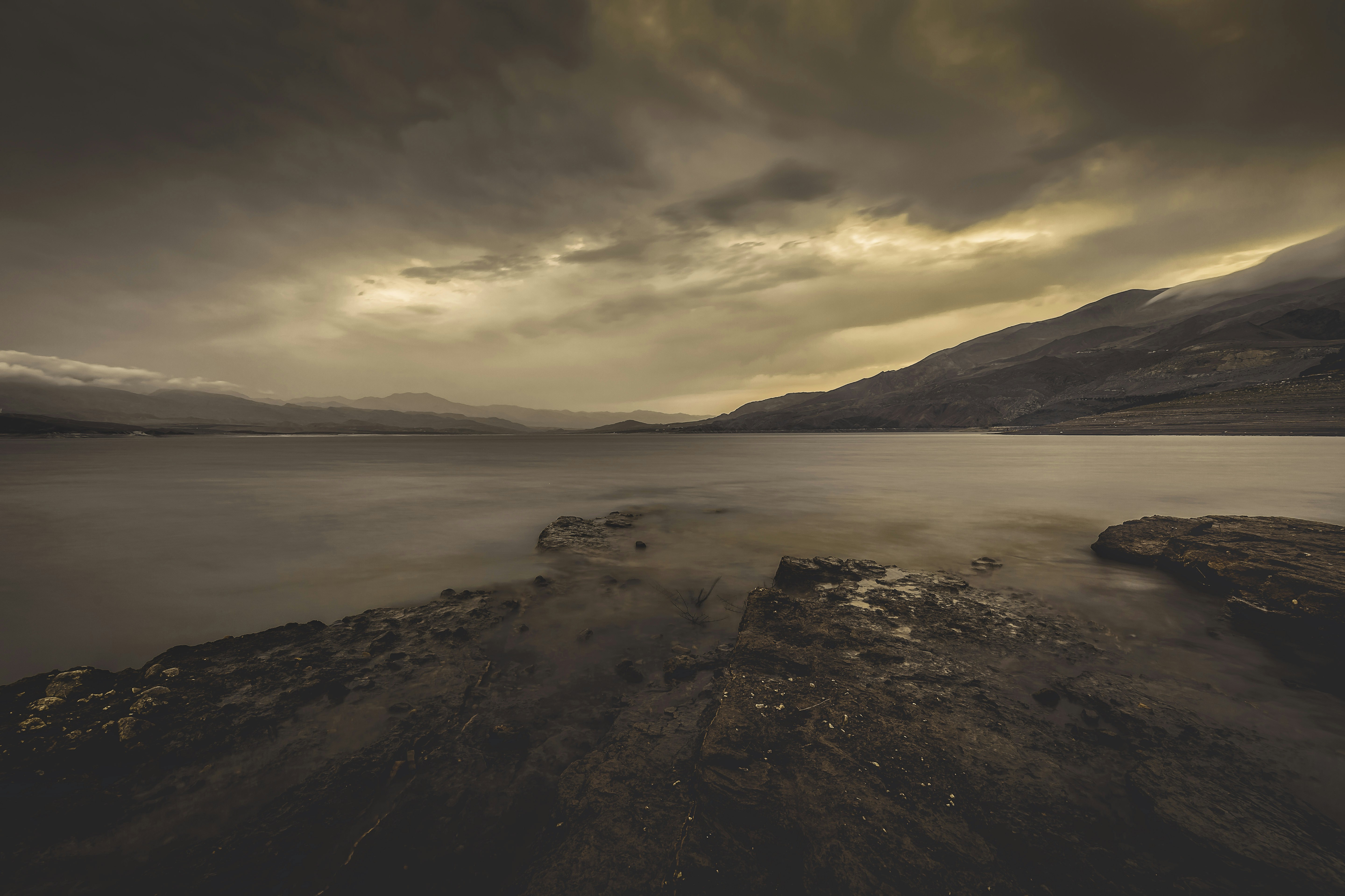 Photo by morteza_bach