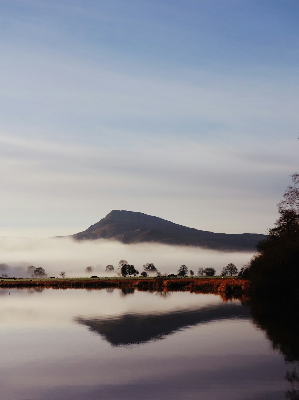 calm body of water near forest