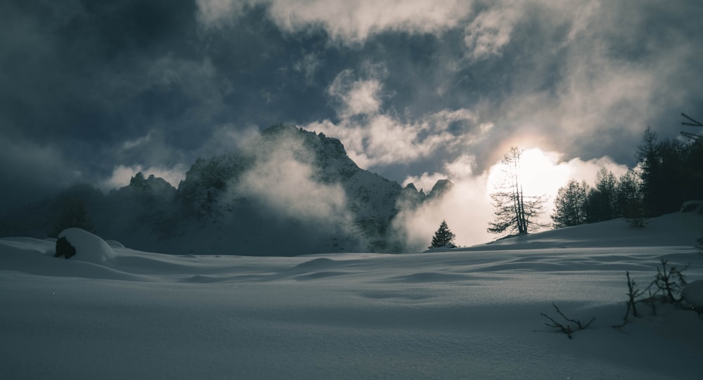 Champ de neige pendant la journée