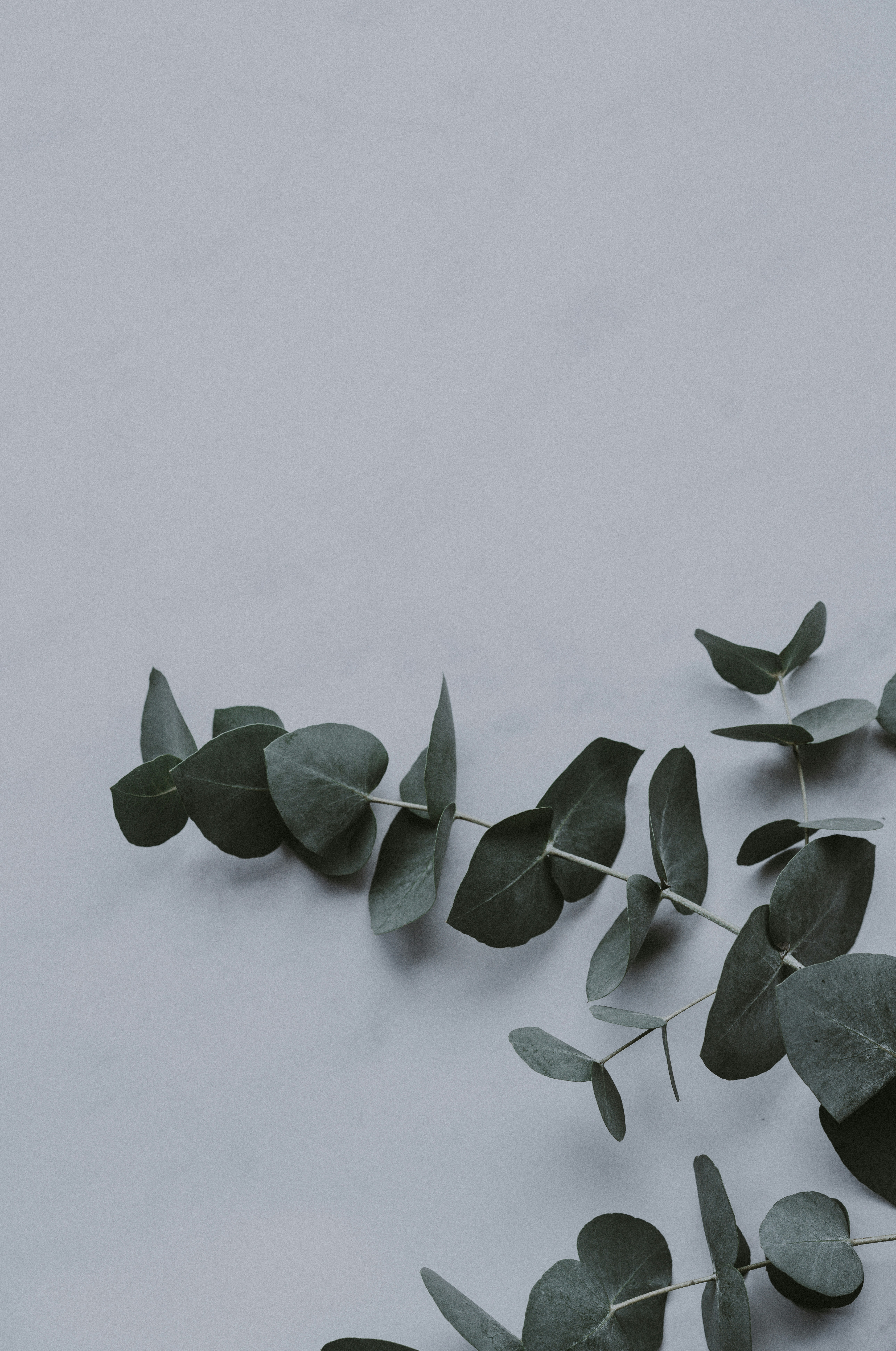 Photo by anniespratt