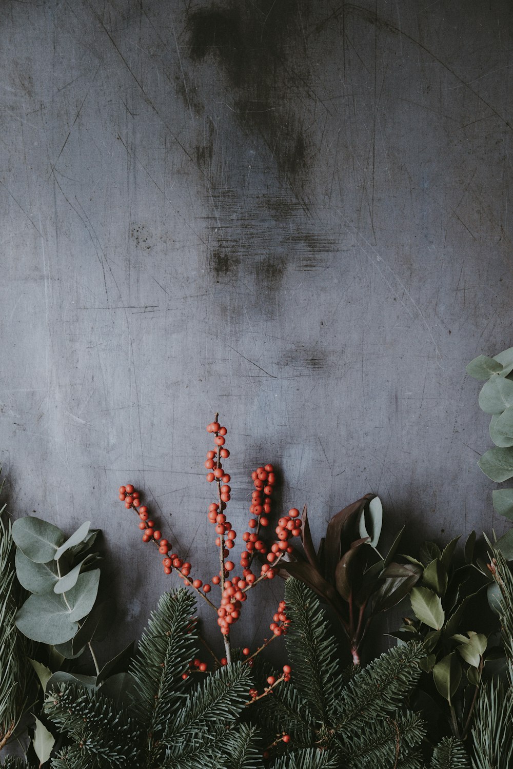 orangefarbene Beeren mit grünen Blättern