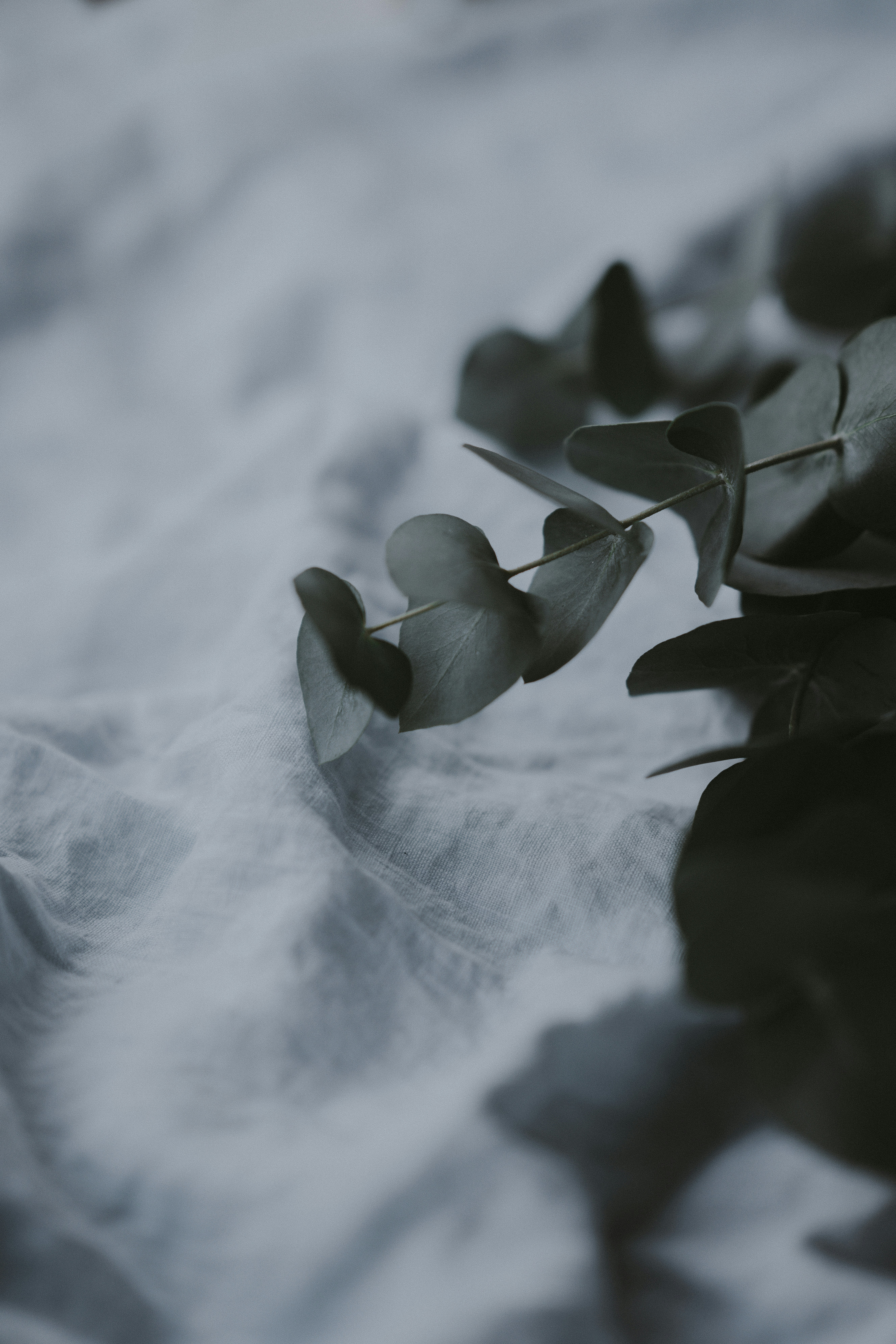 Photo by anniespratt