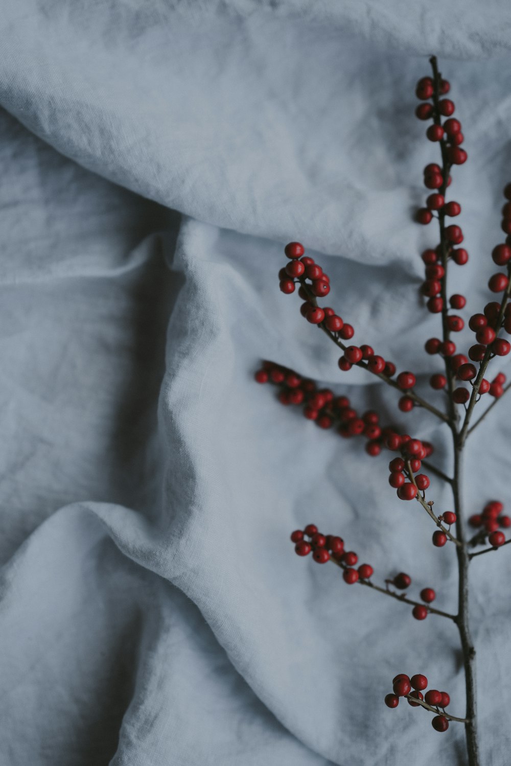 round red fruit