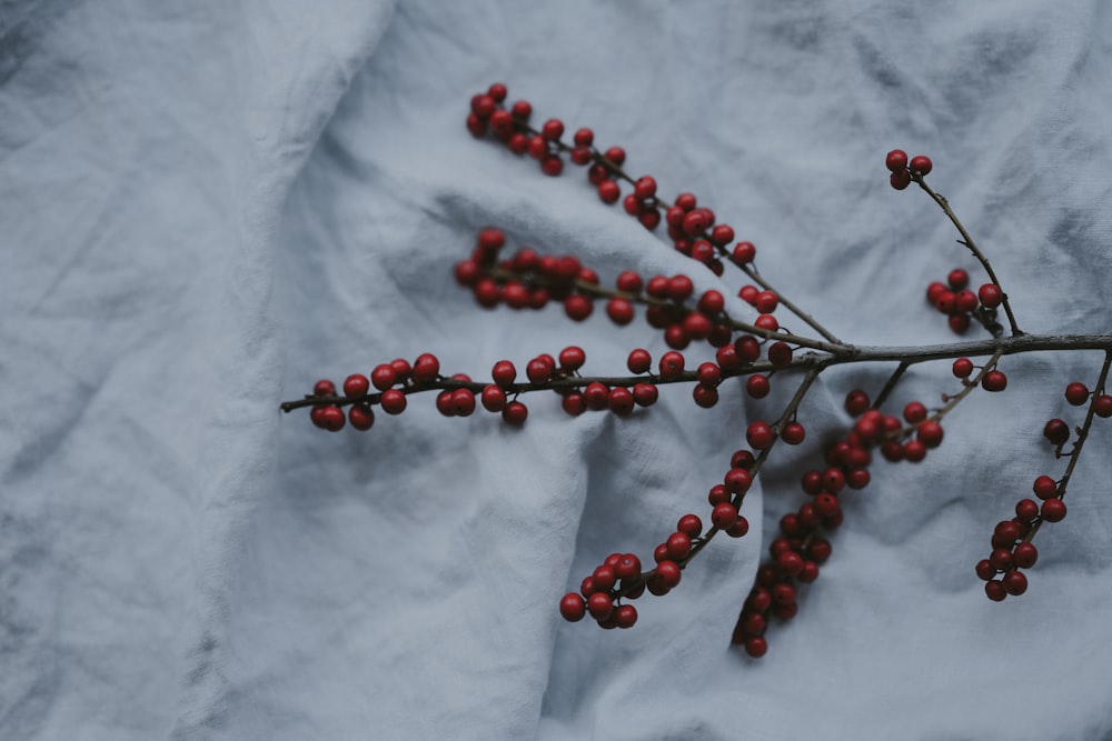 red berries on textile