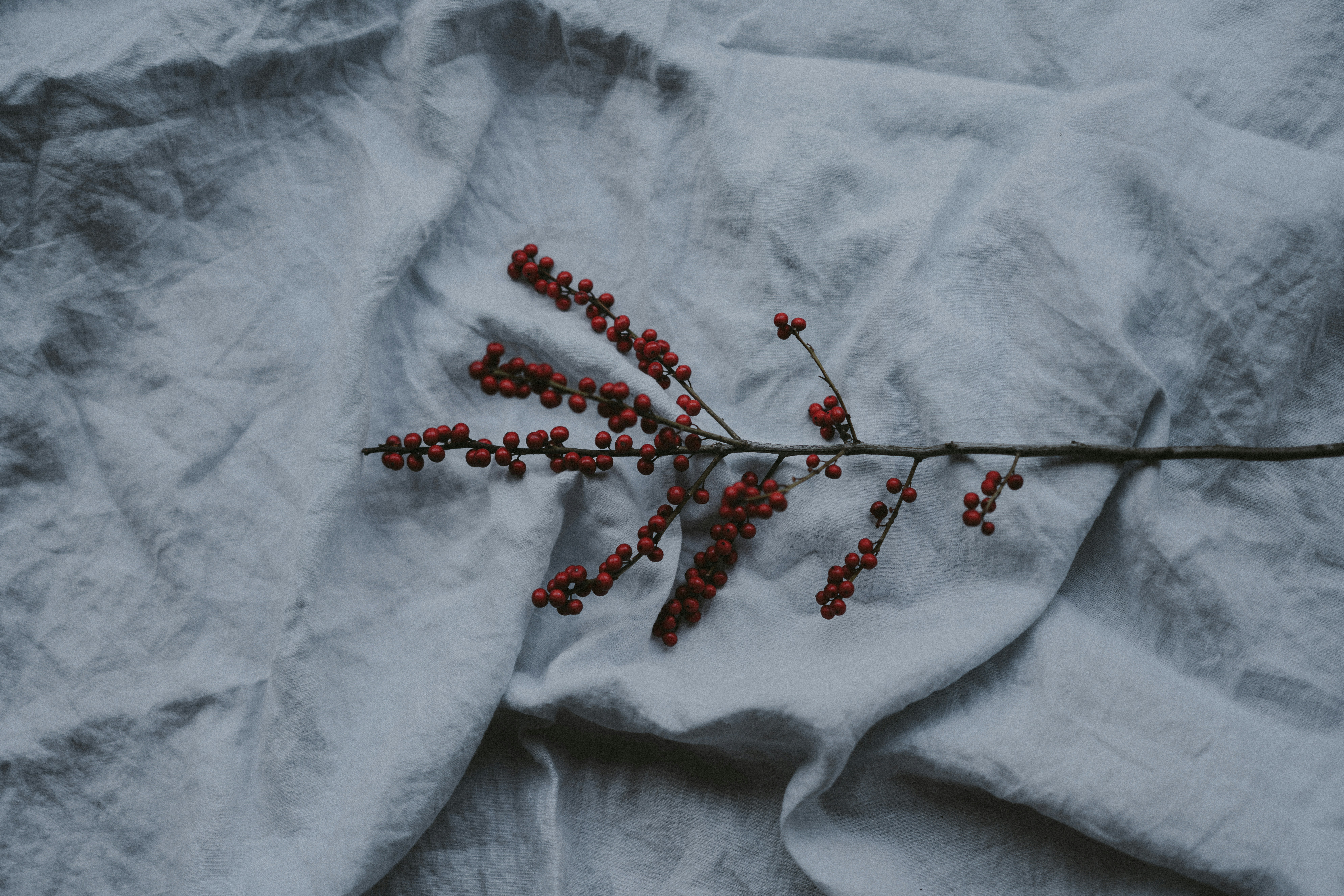 Photo by anniespratt