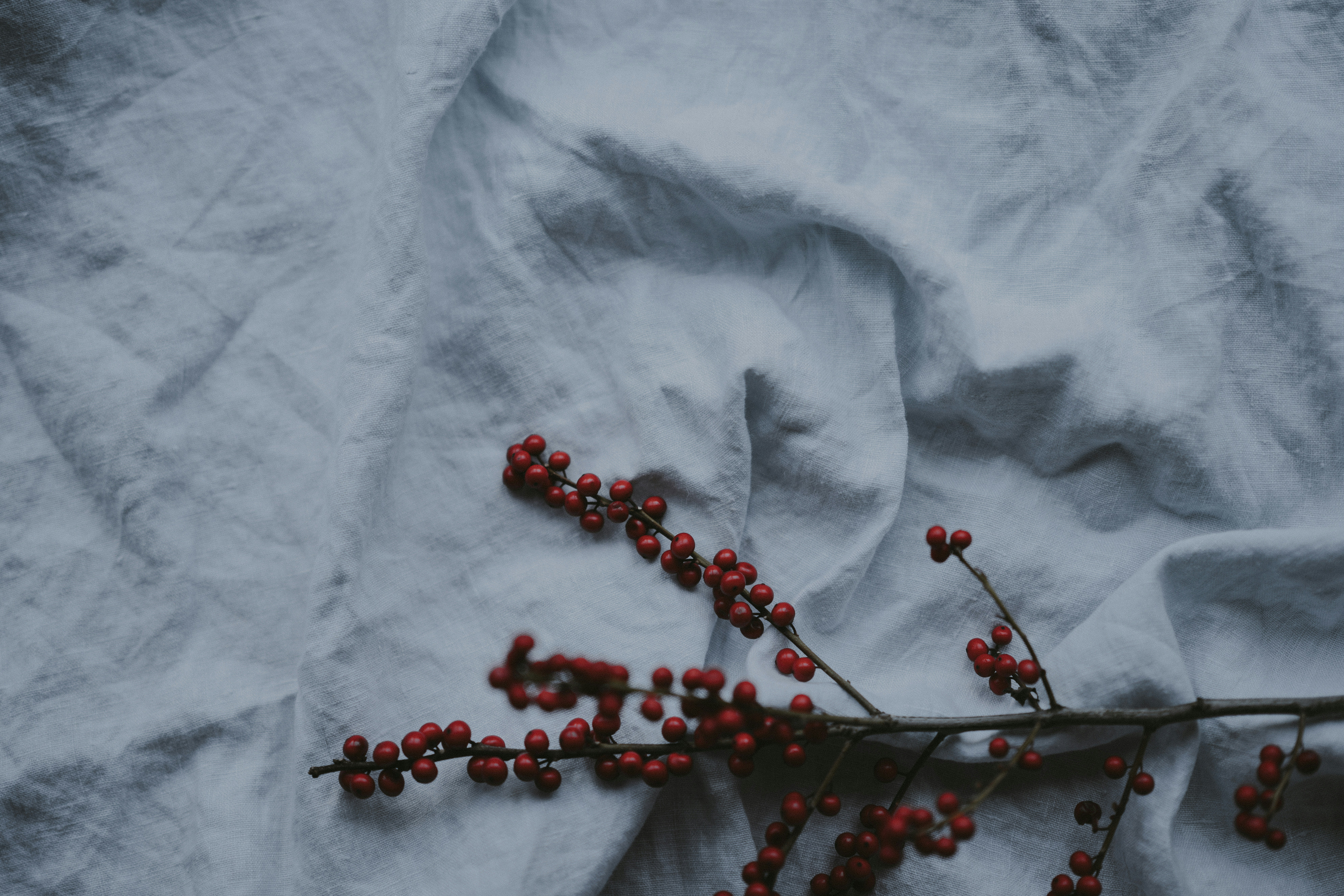 Photo by anniespratt