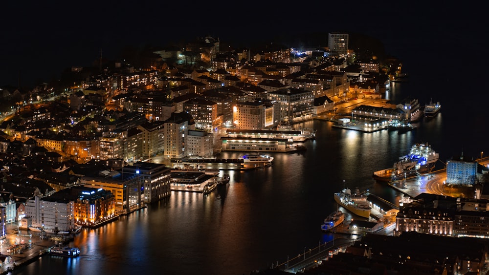 bird's-eye view photography of city at night