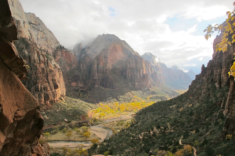 trees covered mountains during daytime