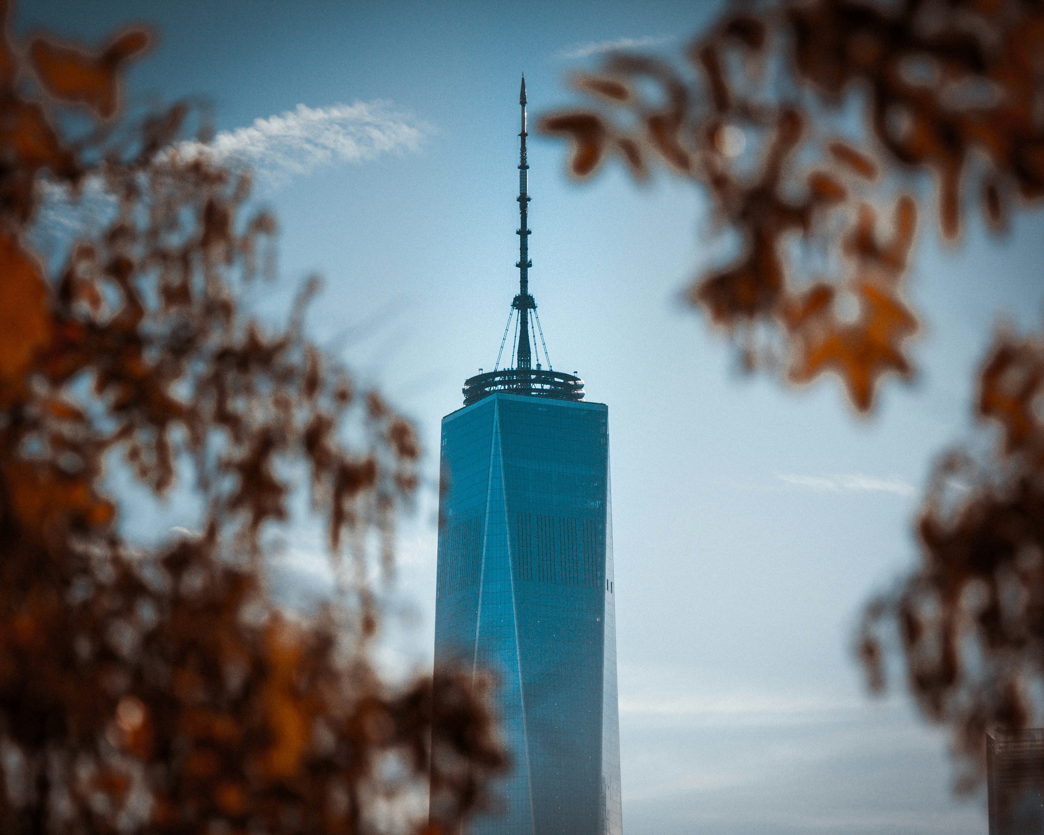 selective focus of tower building