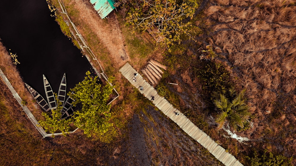 aerial photo of wooden walkway