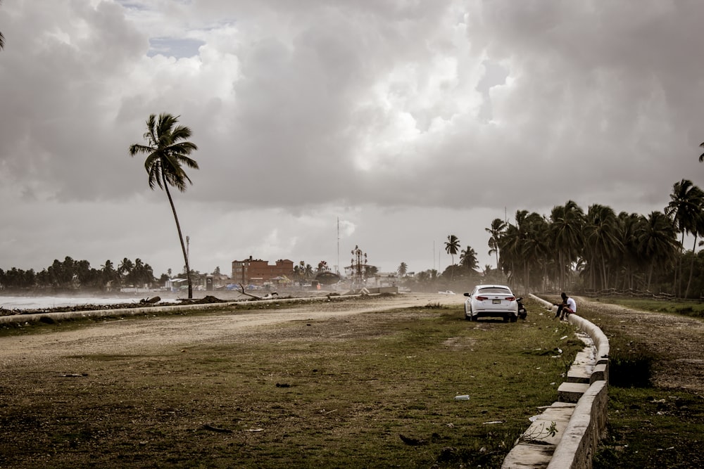 white car near green tree under cloudy sky