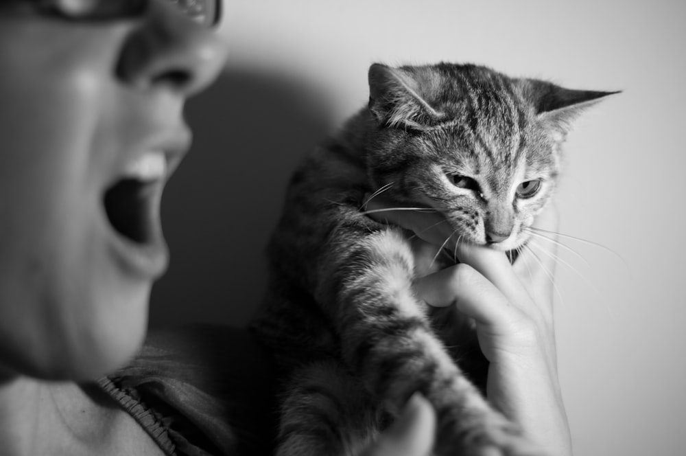 grayscale photography of person holding cat