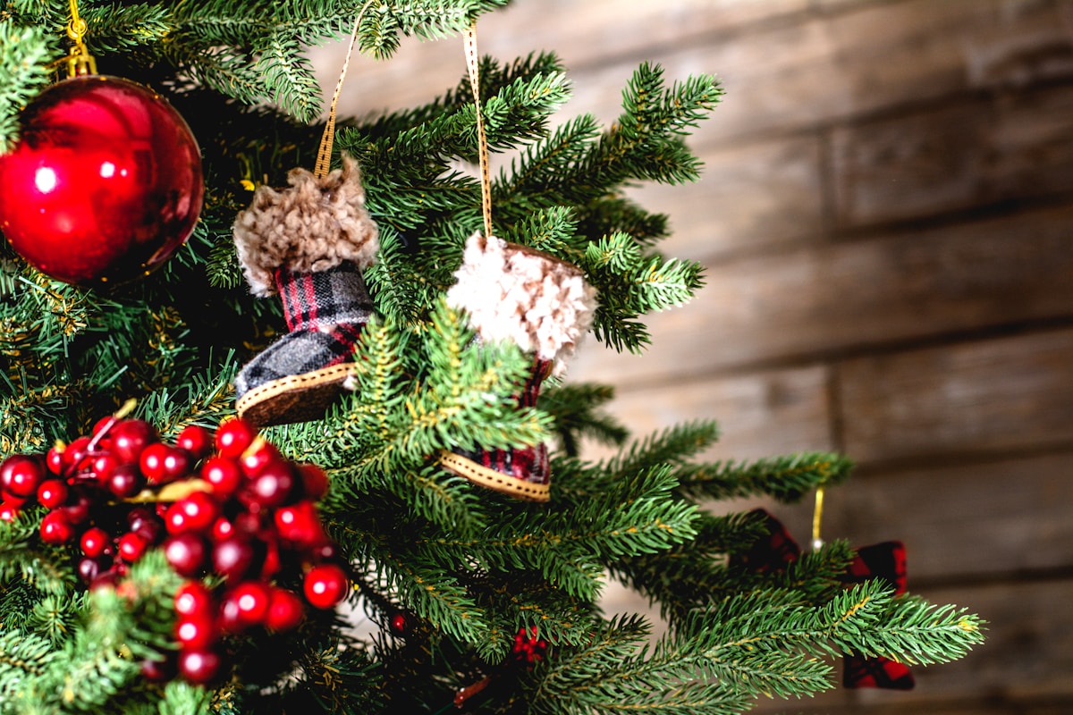 Weihnachtlich verpackte Geschenke – Die besten Regensburger Weihnachtsgeschenk-Tipps
