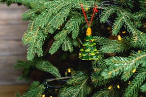 Seasonal holiday ornaments hanging from a decorated pine branch.