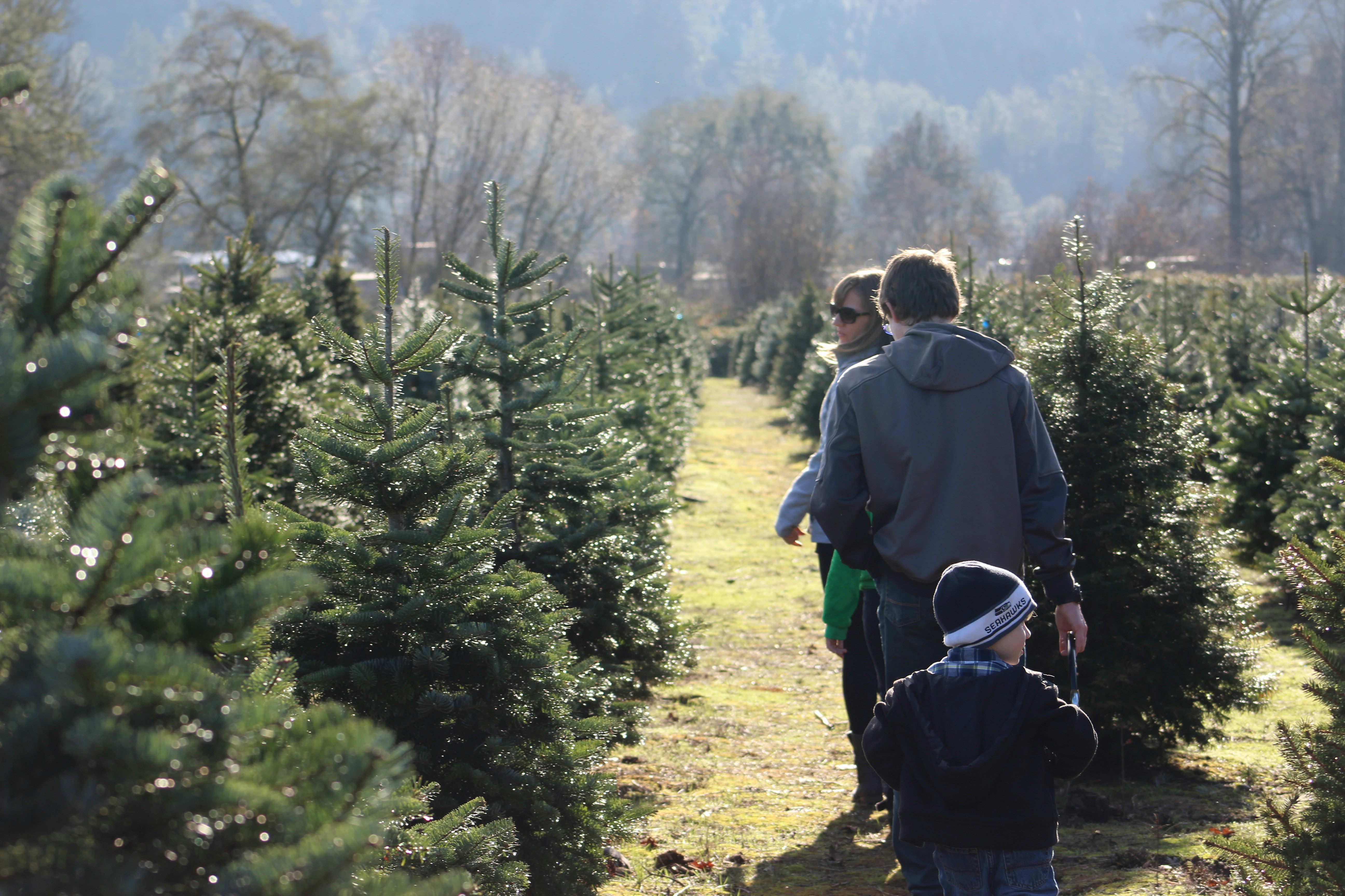 Photo by David J. Boozer