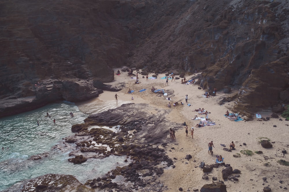 people standing on seashore