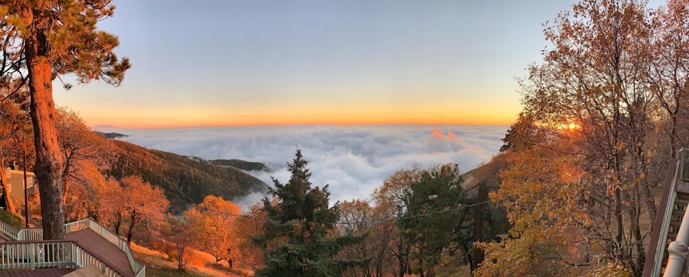 Vue sur la mer de nuages