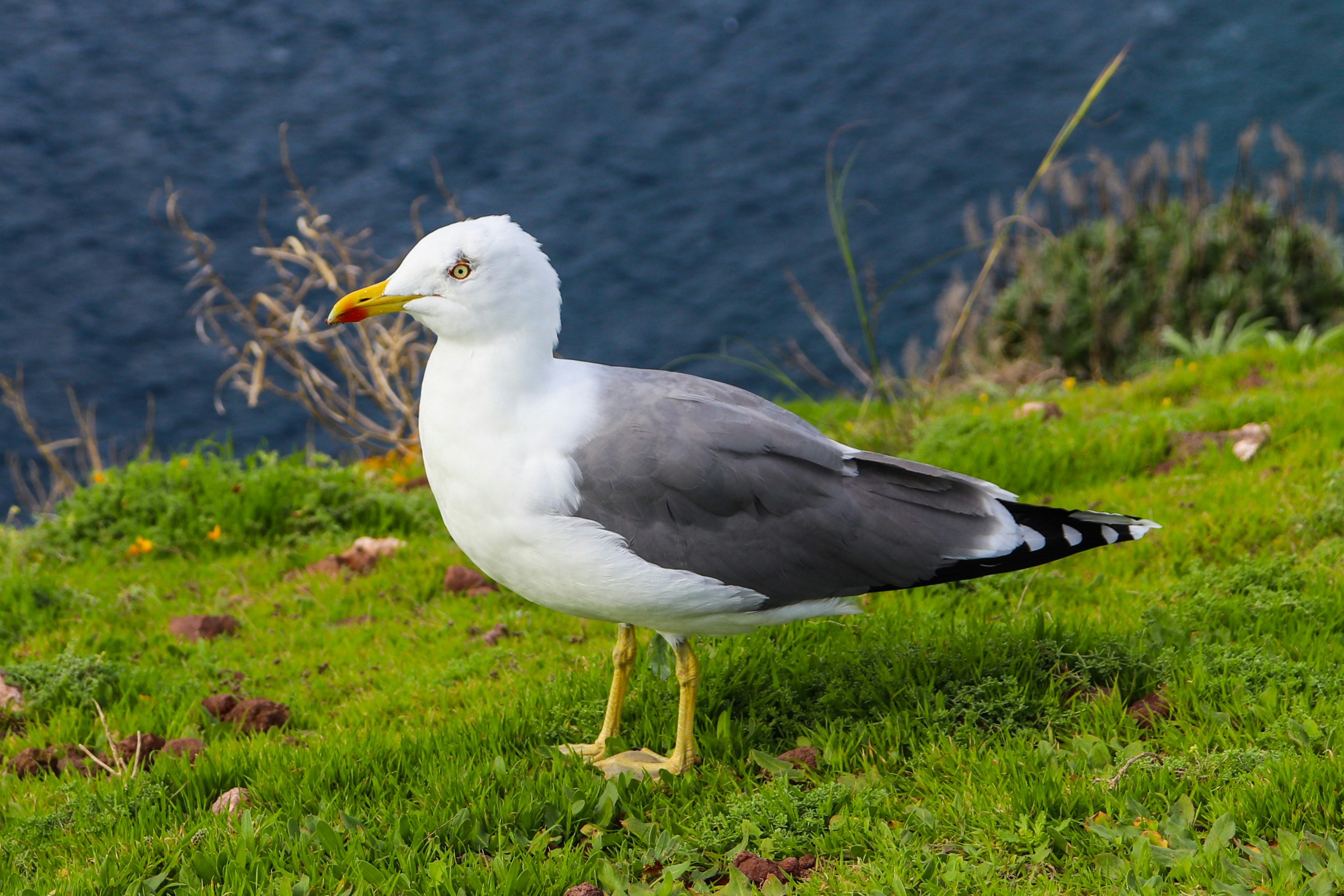 Photo by photomaker01