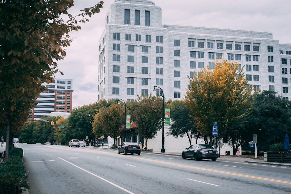 vehicles on road near trees and buildings