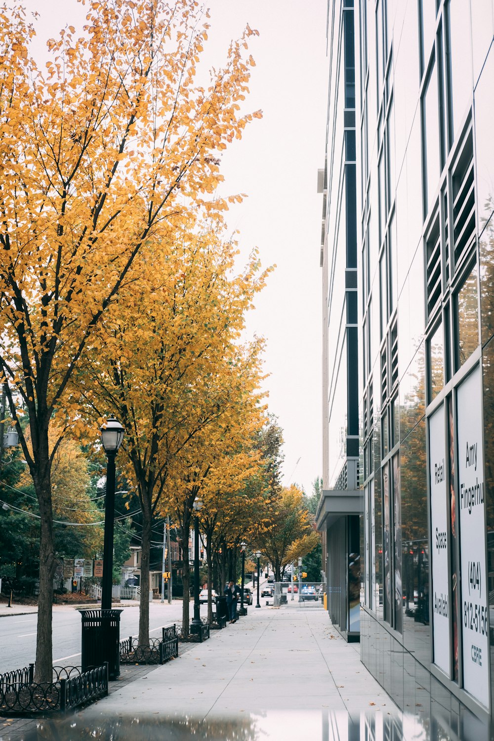 Chemin vide