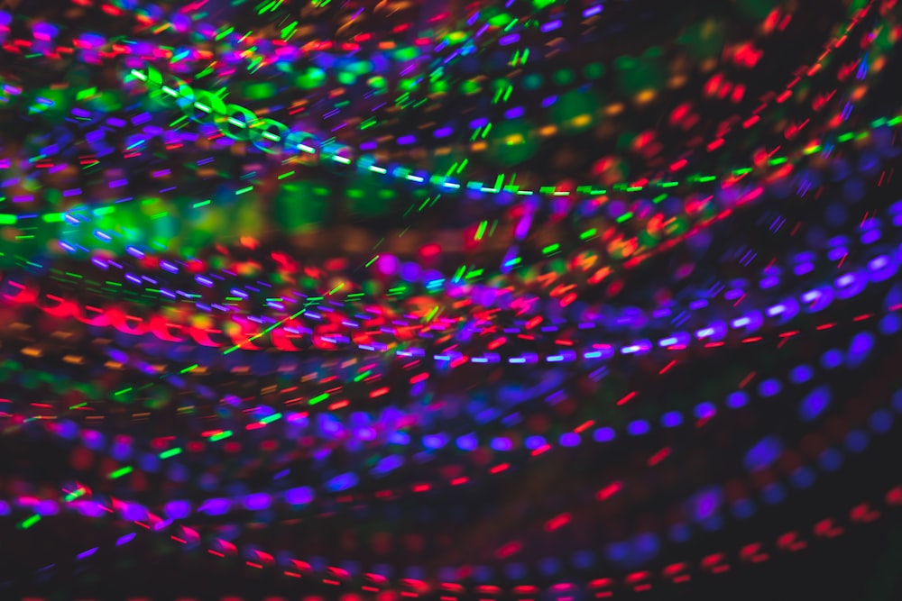 multicolored string lights